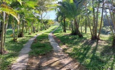 Fazenda à venda com 2 quartos, 47000m² - Foto 12