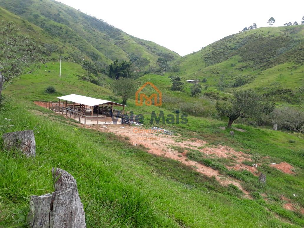 Fazenda à venda com 2 quartos, 1214658m² - Foto 19