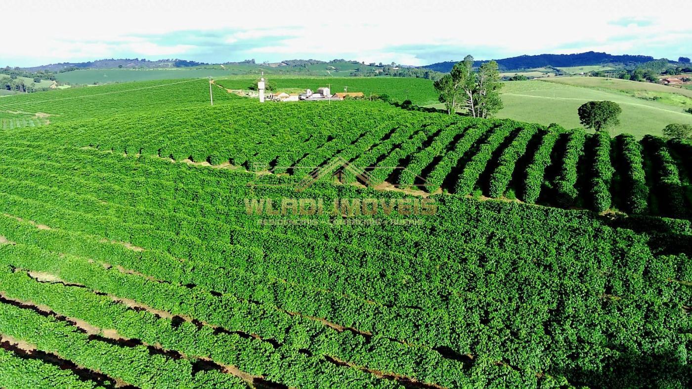 Fazenda à venda, 40m² - Foto 5