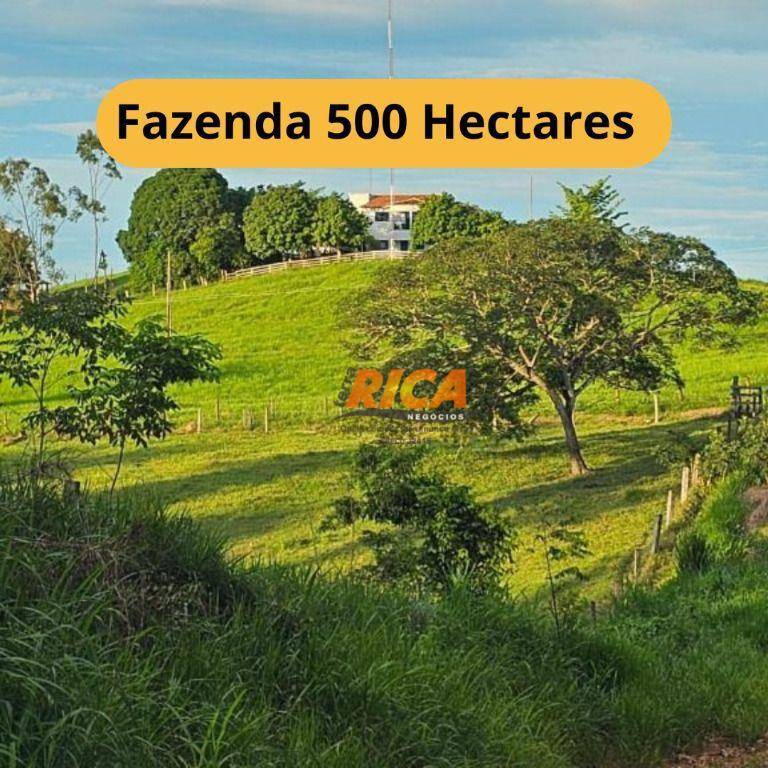 Fazenda-Sítio-Chácara, 500 hectares - Foto 1