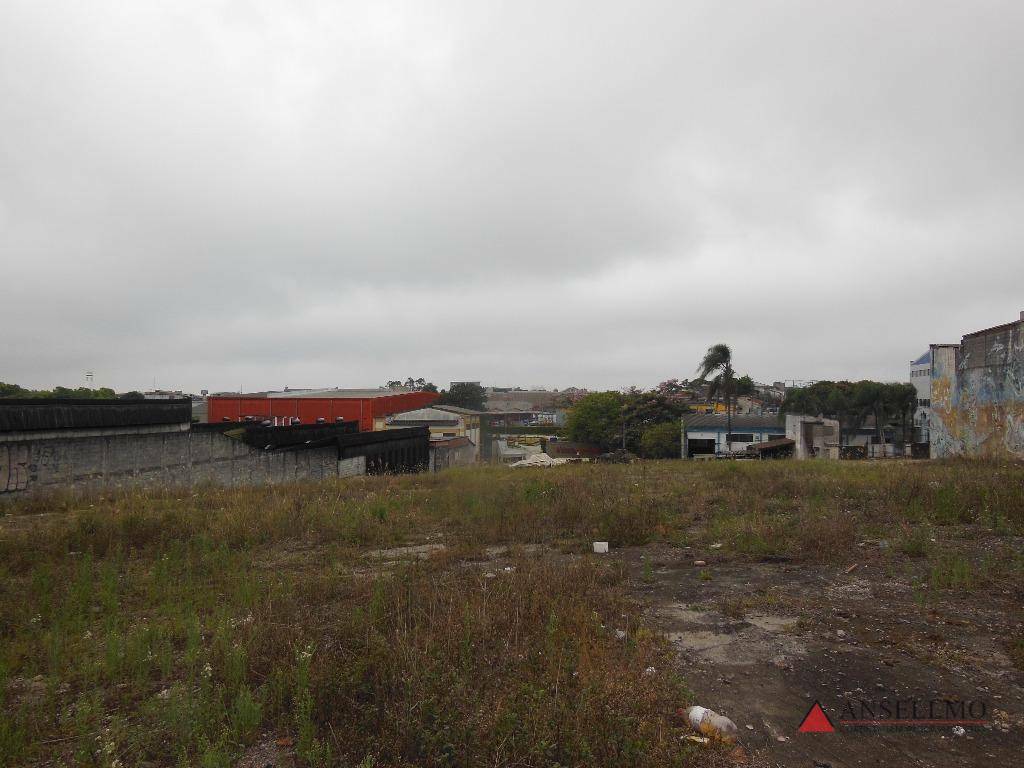 Terreno, 5000 m² - Foto 3