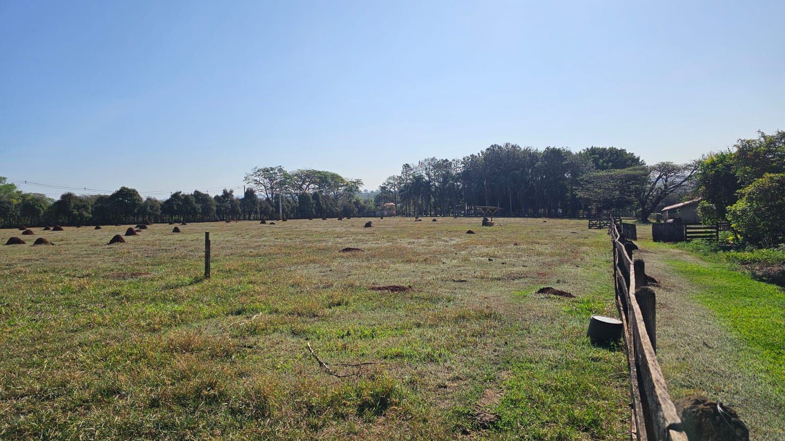 Haras e Área Rural Padrão à venda com 3 quartos, 96800M2 - Foto 22