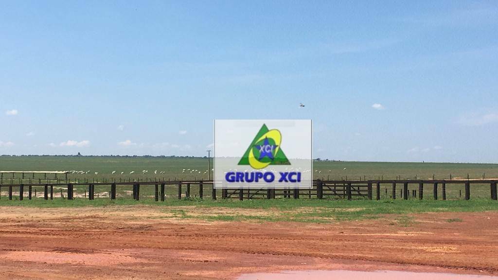 Fazenda-Sítio-Chácara, 2420 hectares - Foto 4