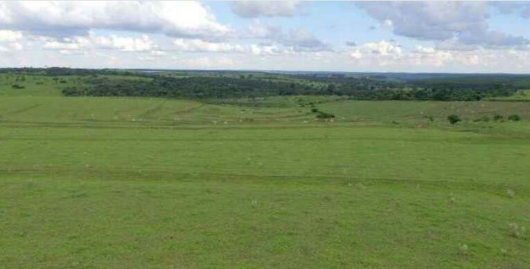 Fazenda-Sítio-Chácara, 726 m² - Foto 7