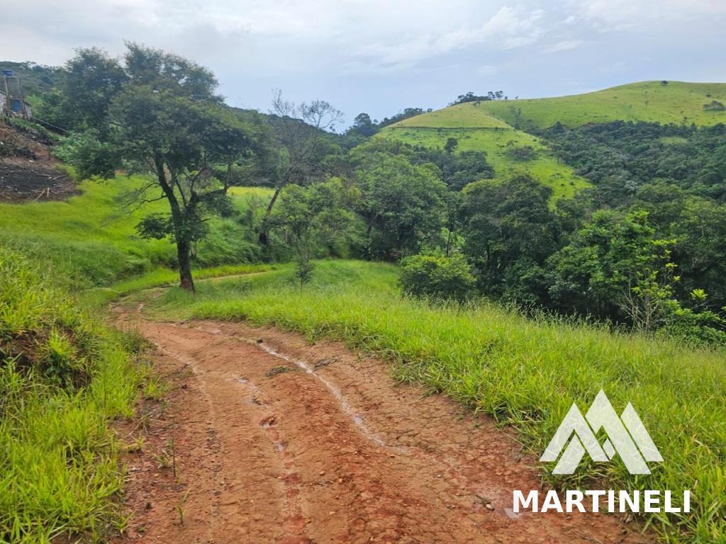 Terreno à venda com 2 quartos, 9400m² - Foto 12