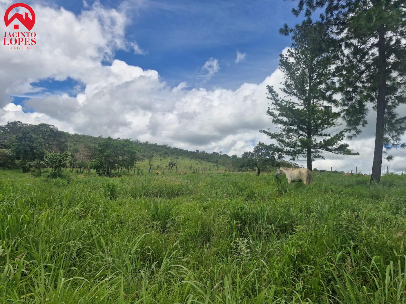 Fazenda à venda com 2 quartos, 120m² - Foto 20