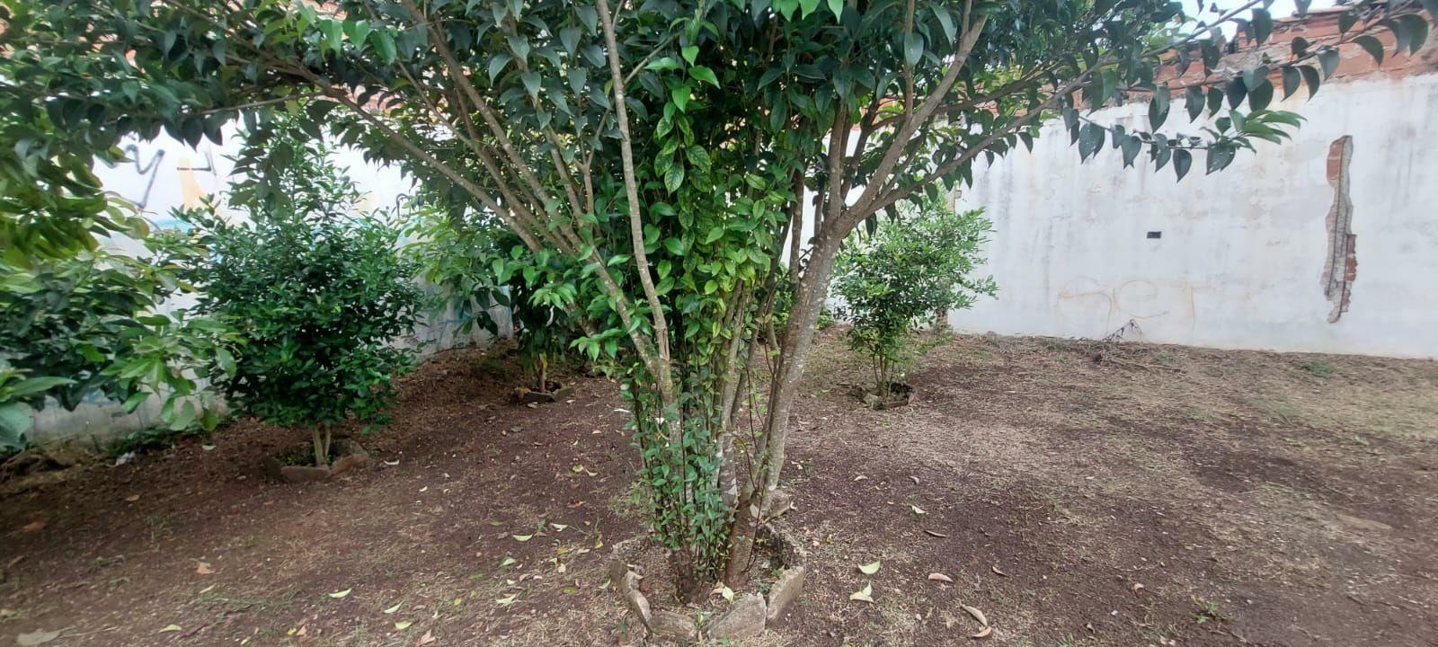 Terreno à venda, 360M2 - Foto 7