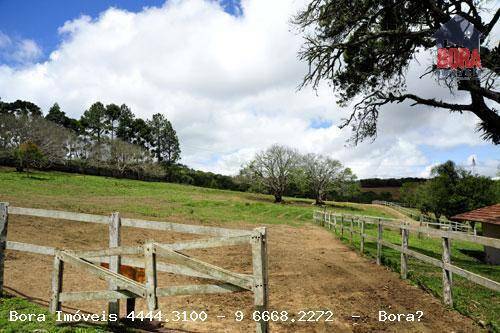 Haras e Área Rural Padrão à venda, 500m² - Foto 18