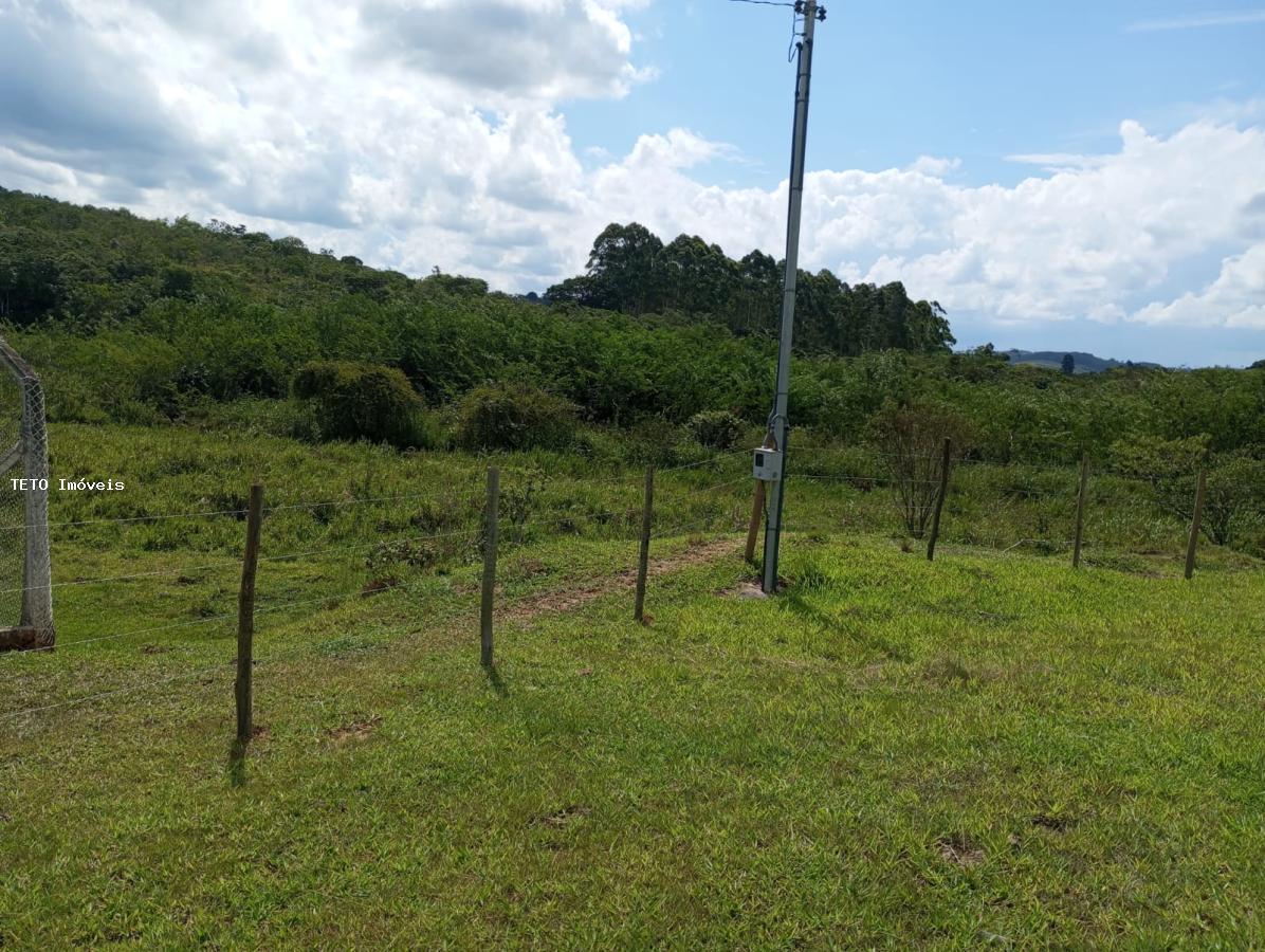 Fazenda à venda com 2 quartos, 25000m² - Foto 31