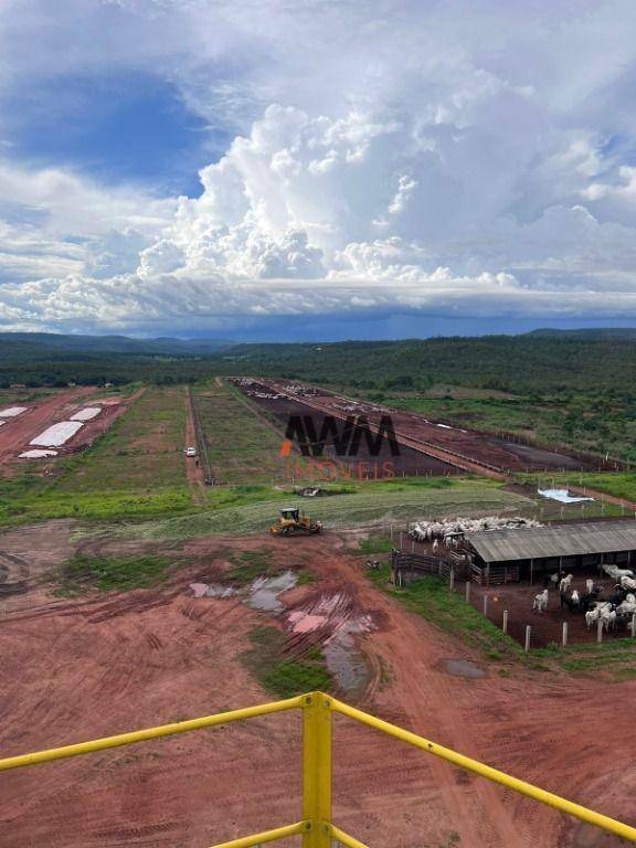 Fazenda à venda, 30000000M2 - Foto 6