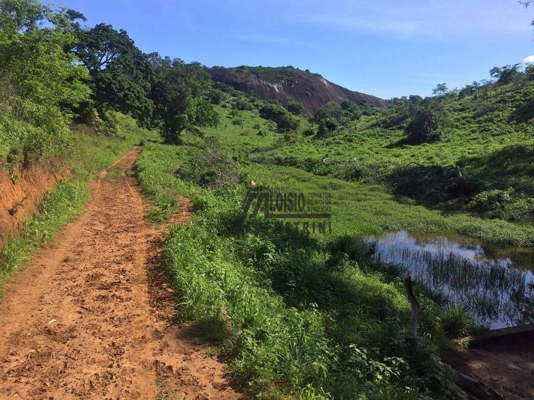 Fazenda à venda, 5469200M2 - Foto 17