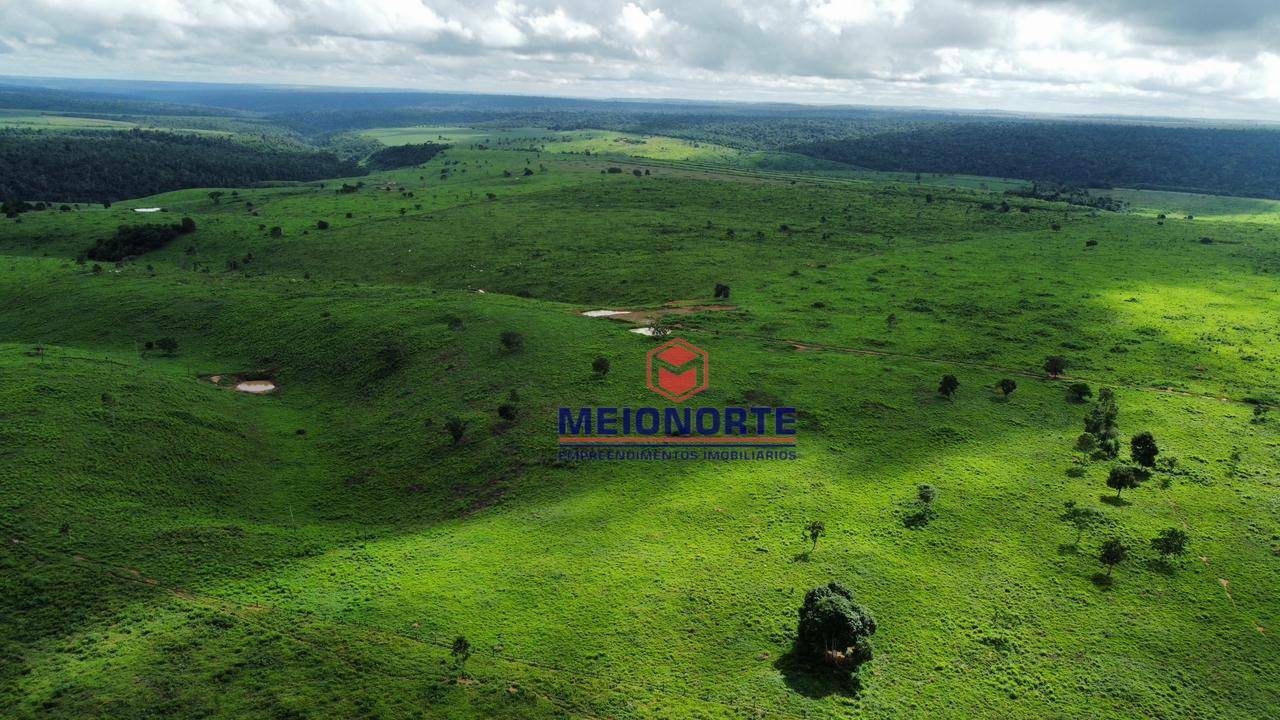 Fazenda à venda com 4 quartos, 4800000M2 - Foto 3