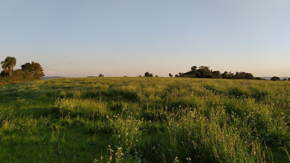 Fazenda à venda, 60m² - Foto 3