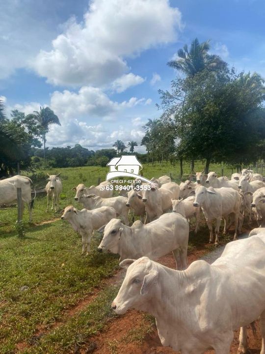 Fazenda à venda, 1930000m² - Foto 16