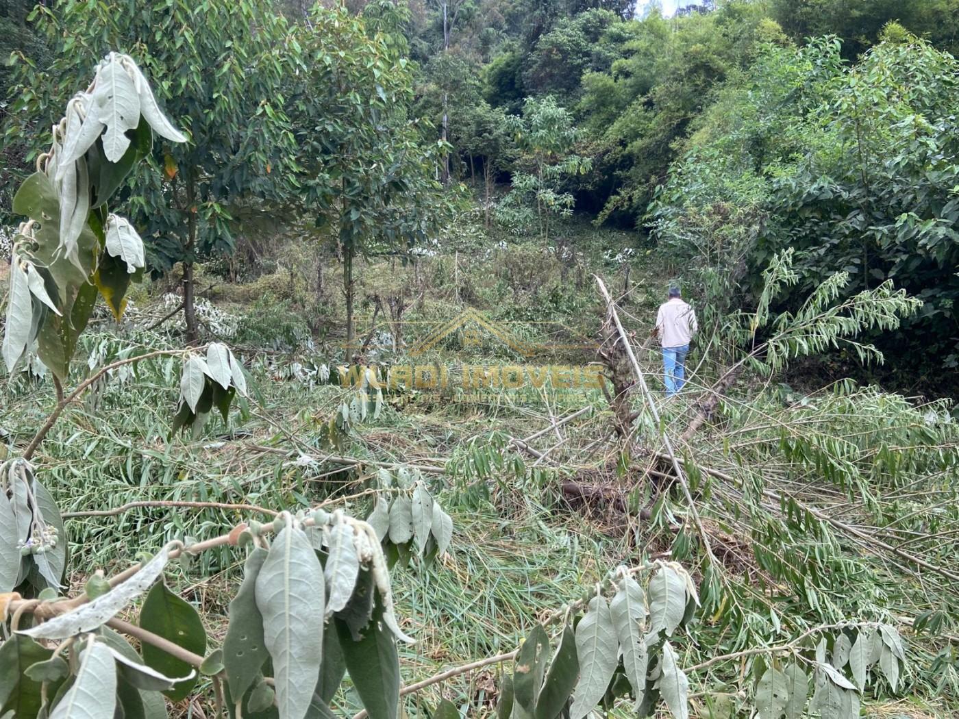 Terreno à venda, 40000m² - Foto 26