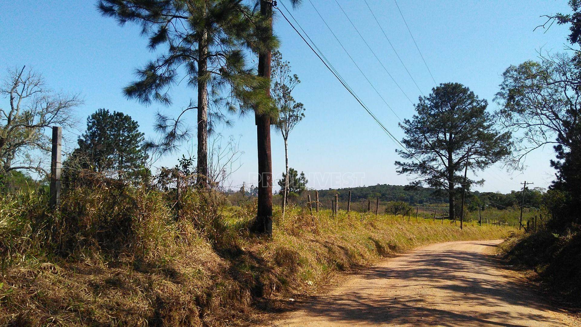 Terreno à venda, 253988M2 - Foto 4