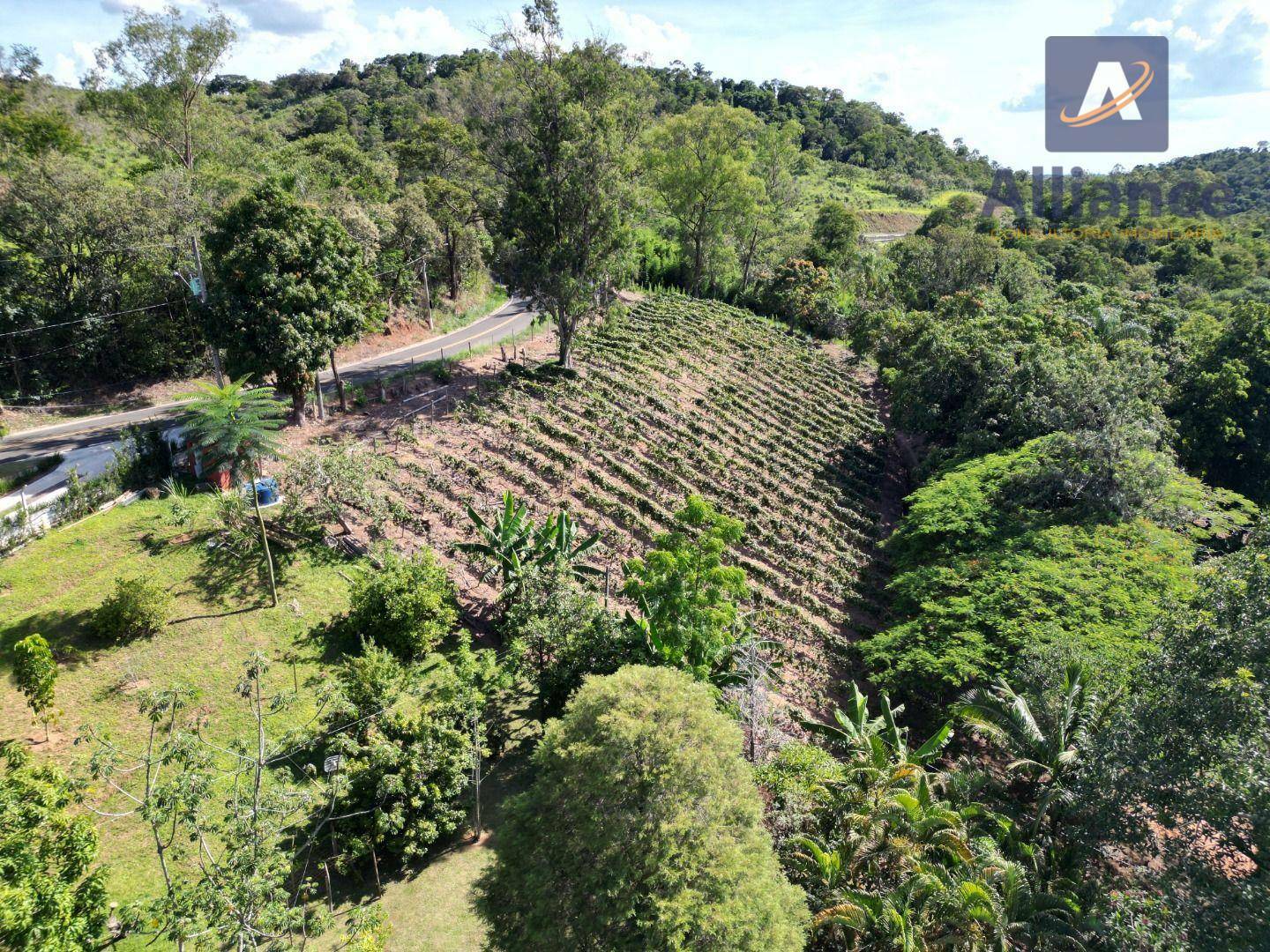 Terreno, 3 hectares - Foto 8