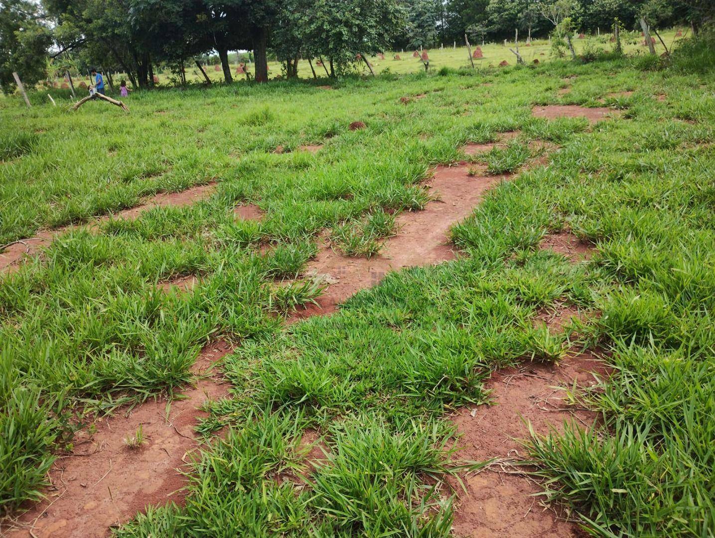 Terreno à venda, 2600M2 - Foto 3