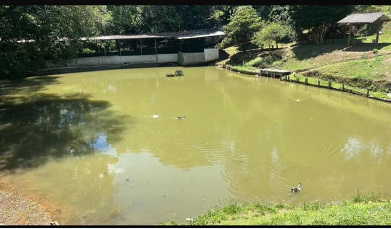 Chácara à venda, 3000m² - Foto 5