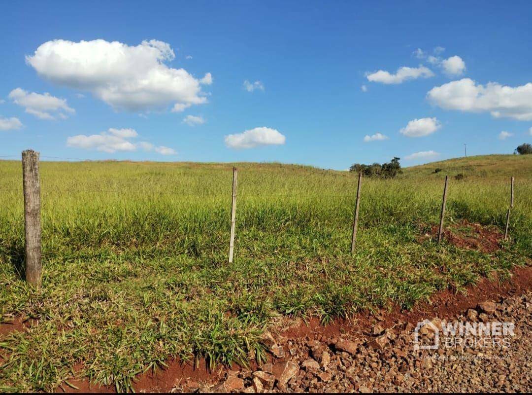 Fazenda à venda com 2 quartos, 2299000M2 - Foto 15