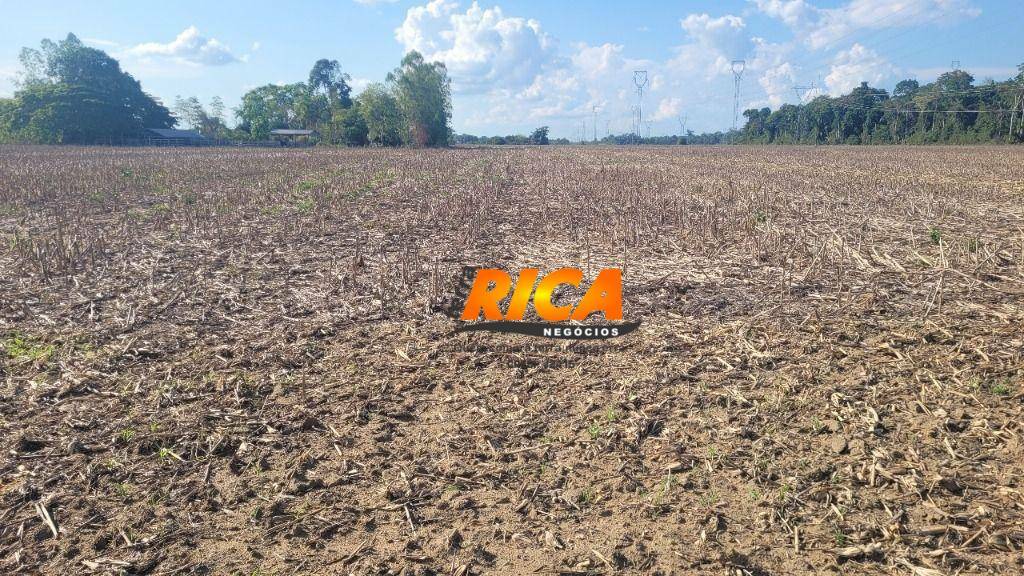 Fazenda-Sítio-Chácara, 192 hectares - Foto 18