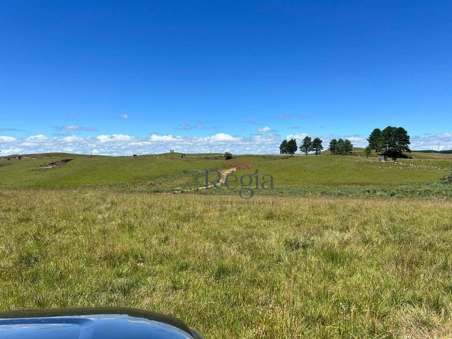 Sítio à venda, 150000M2 - Foto 3