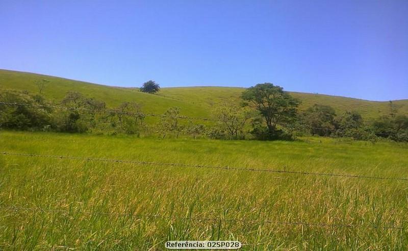 Sítio à venda com 2 quartos, 240000m² - Foto 5