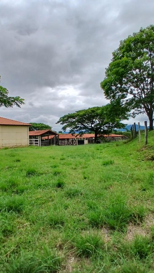 Fazenda à venda com 4 quartos, 19m² - Foto 17