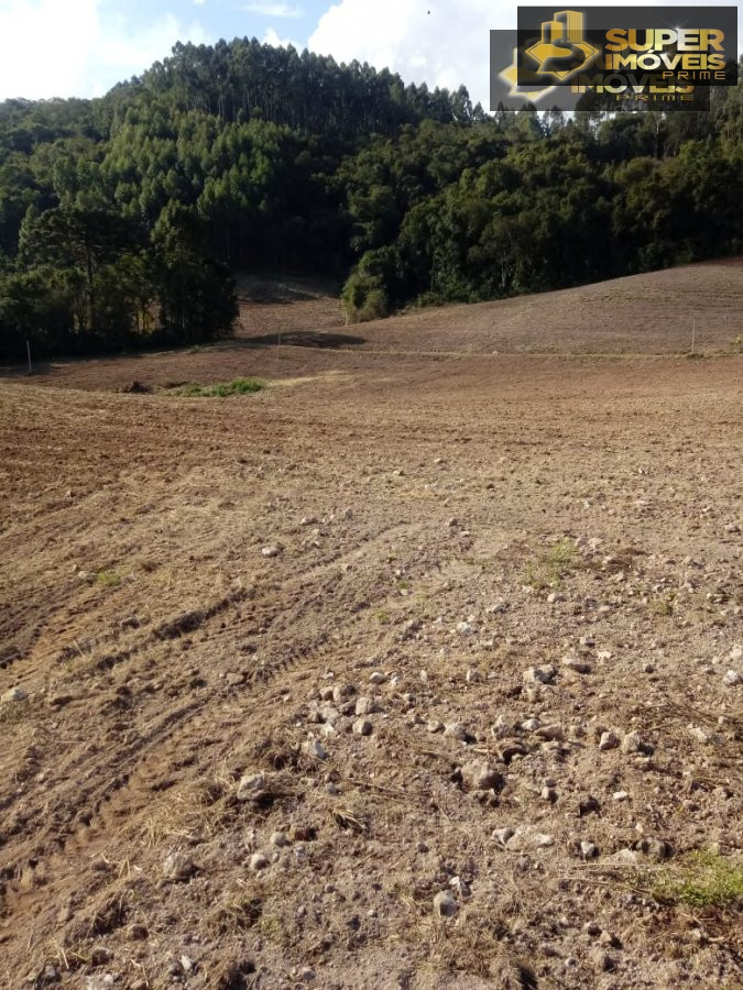 Fazenda à venda com 2 quartos, 450000m² - Foto 9