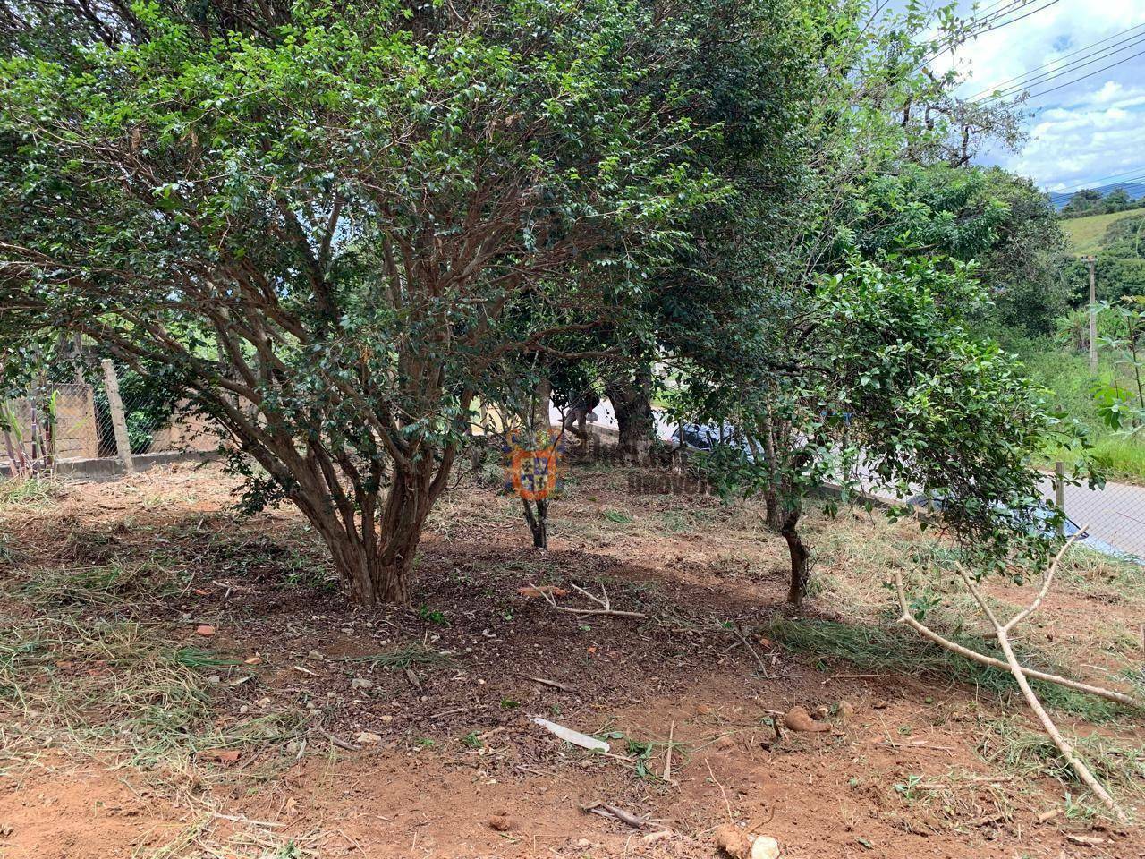 Casa à venda com 2 quartos, 700M2 - Foto 11