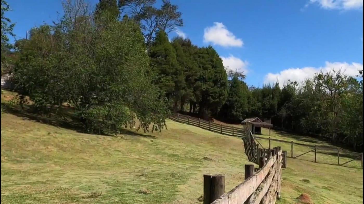 Terreno à venda, 5000m² - Foto 11
