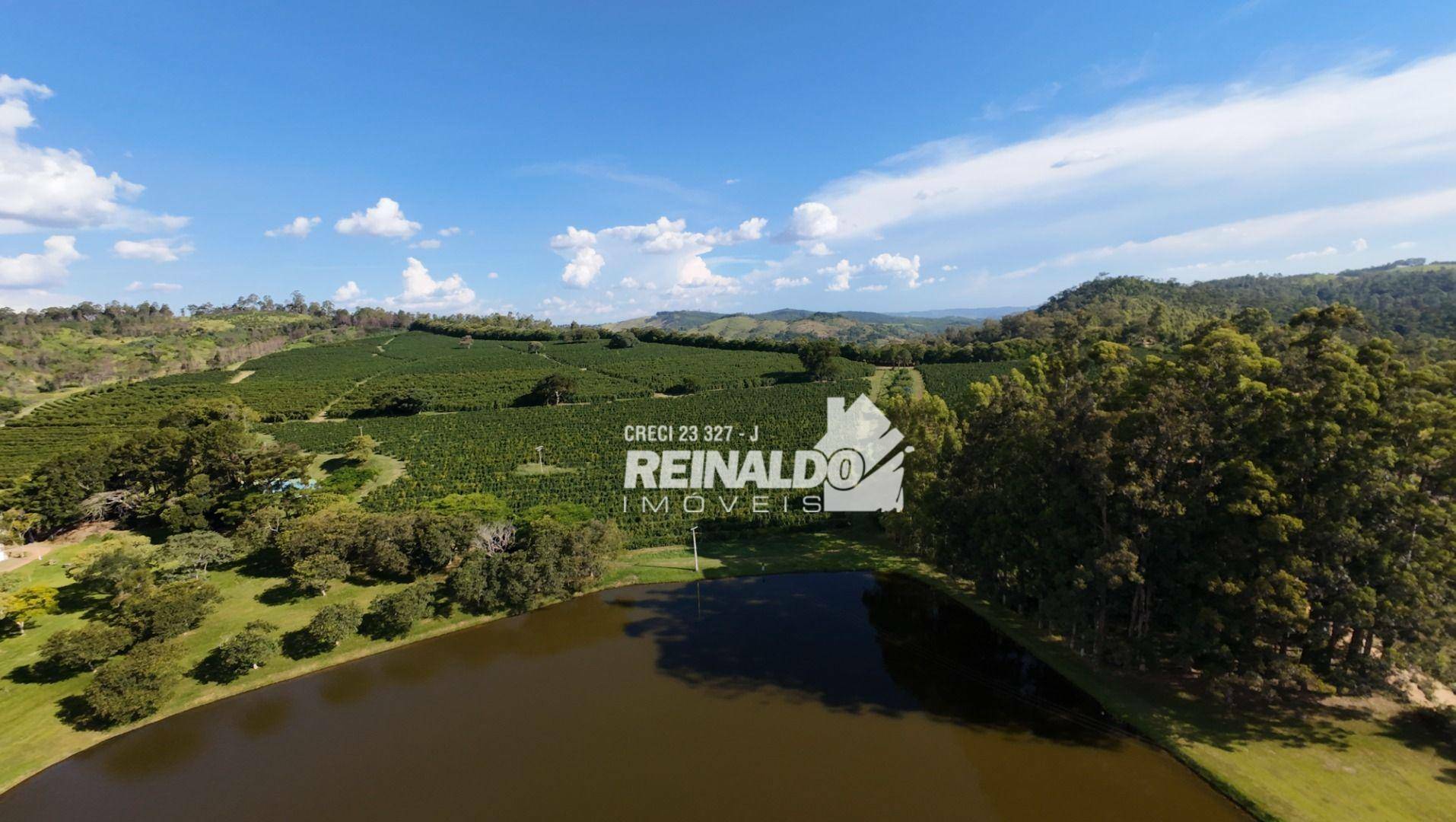 Fazenda à venda com 9 quartos, 5000m² - Foto 10