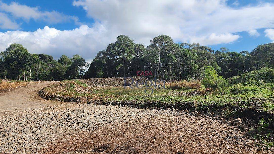 Loteamento e Condomínio à venda, 4338M2 - Foto 6