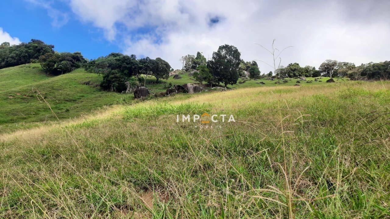 Sítio à venda com 3 quartos, 240000M2 - Foto 4