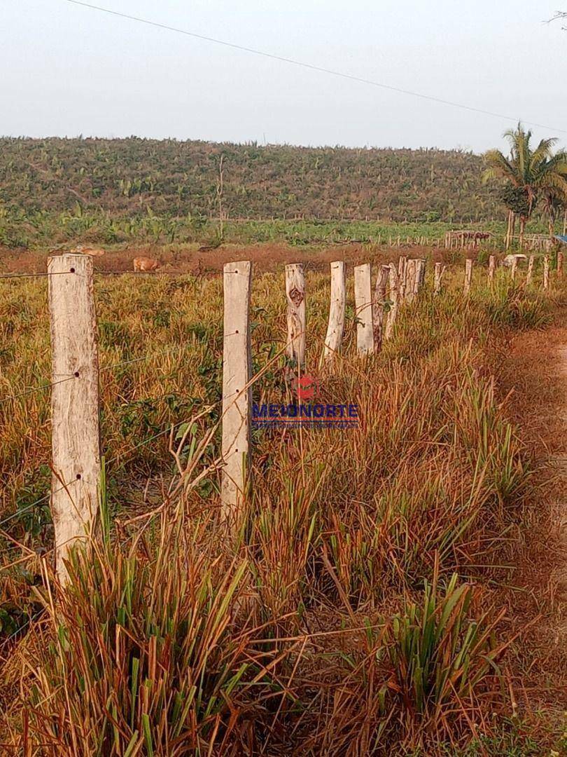 Fazenda à venda com 1 quarto, 2000000M2 - Foto 7