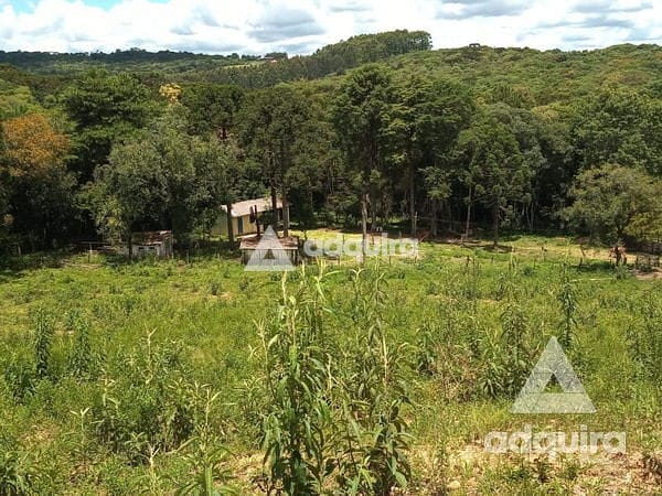 Fazenda-Sítio-Chácara, 2 hectares - Foto 3