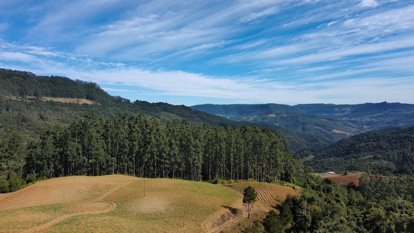 Fazenda à venda com 3 quartos, 260000m² - Foto 30