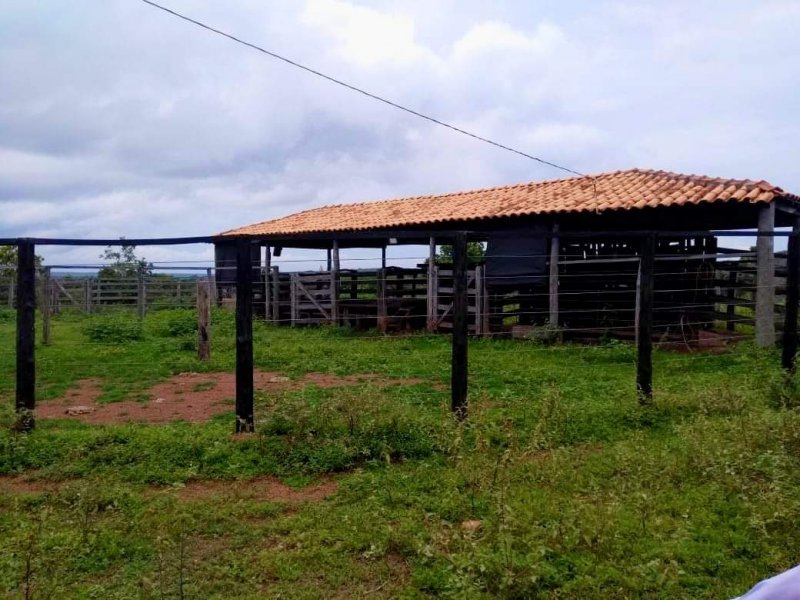 Fazenda à venda, 1613m² - Foto 23