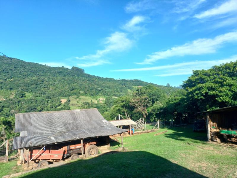 Sítio à venda com 1 quarto, 150m² - Foto 61