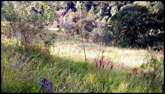 Fazenda à venda, 500m² - Foto 8