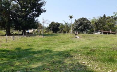 Fazenda à venda com 1 quarto, 240000m² - Foto 6