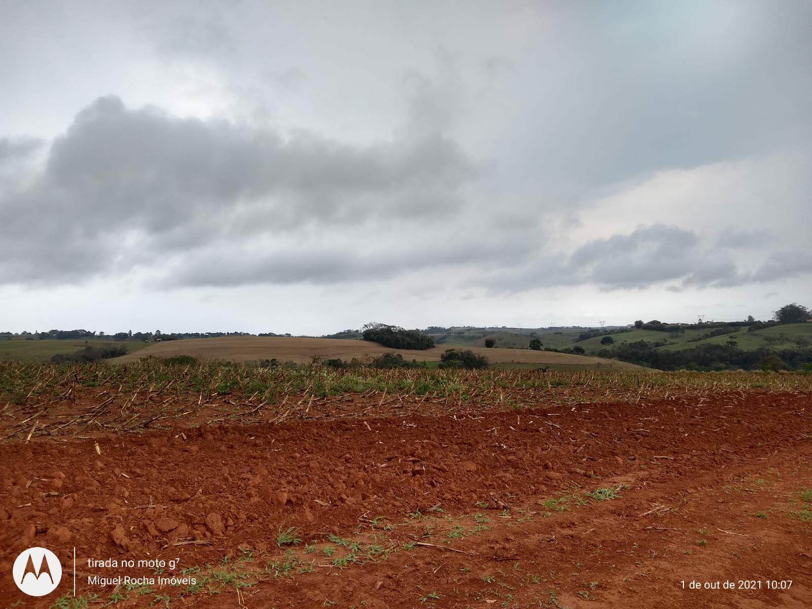 Fazenda à venda com 8 quartos, 3146000m² - Foto 5