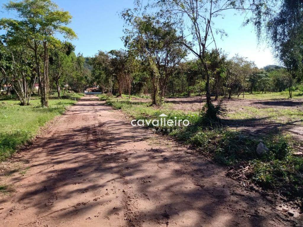 Loteamento e Condomínio à venda, 240M2 - Foto 1