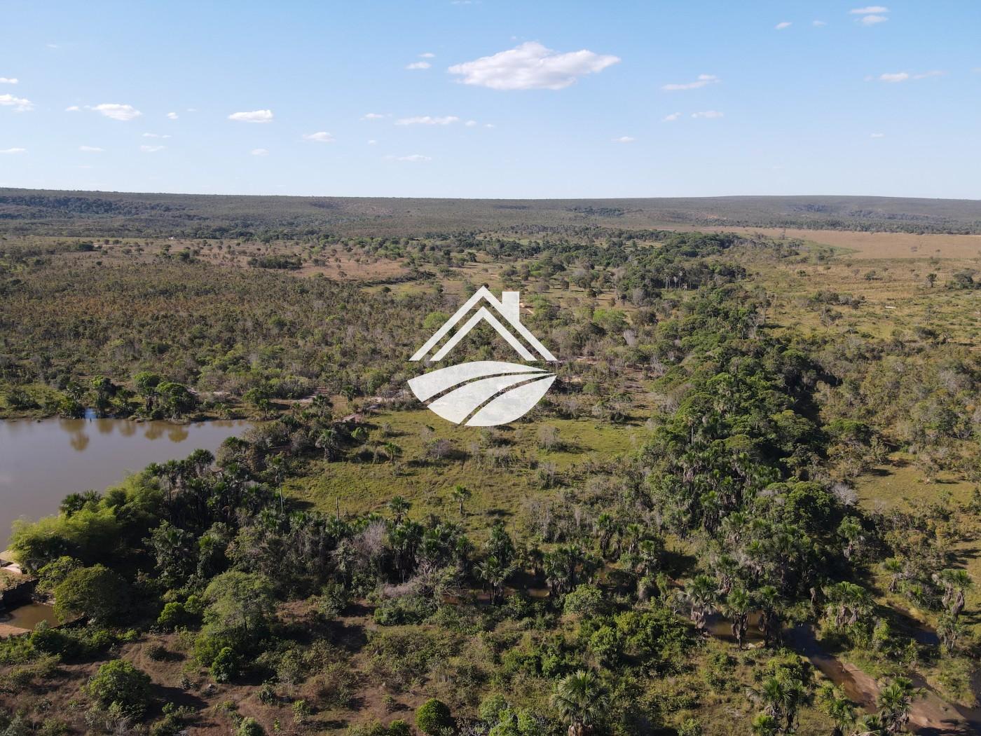 Fazenda à venda, 1m² - Foto 12