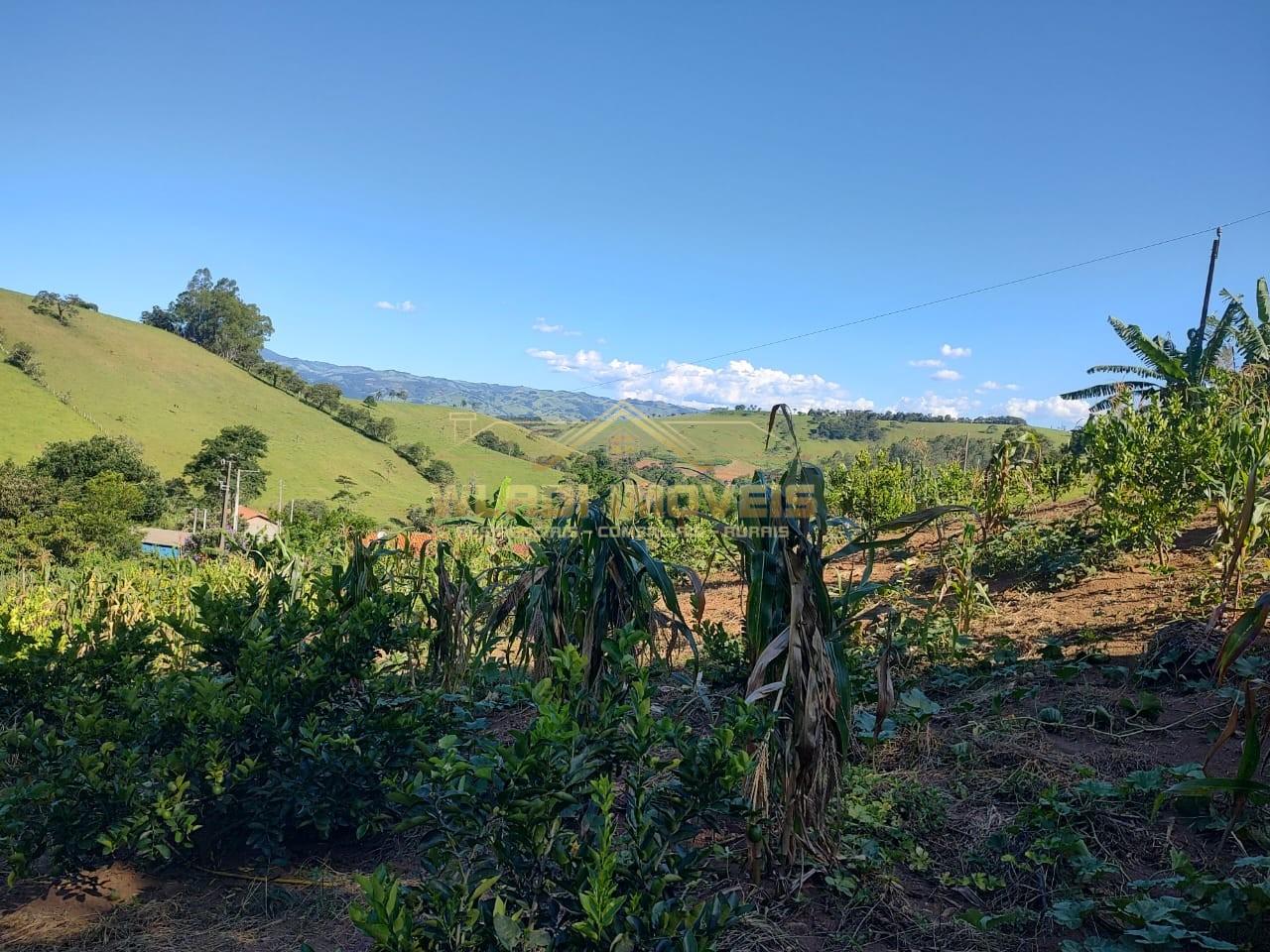 Chácara à venda, 5000m² - Foto 6