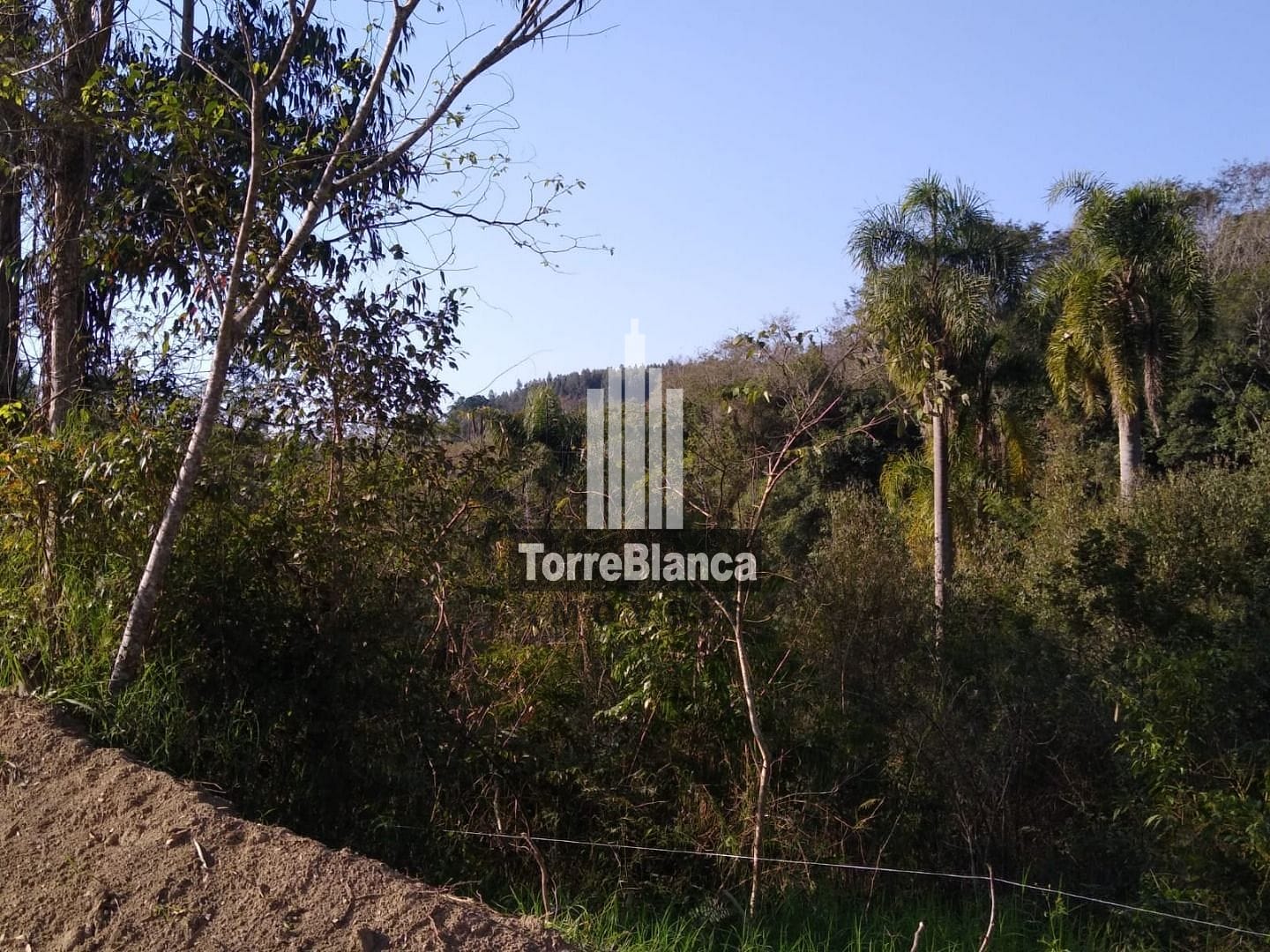 Terreno, 2 hectares - Foto 3