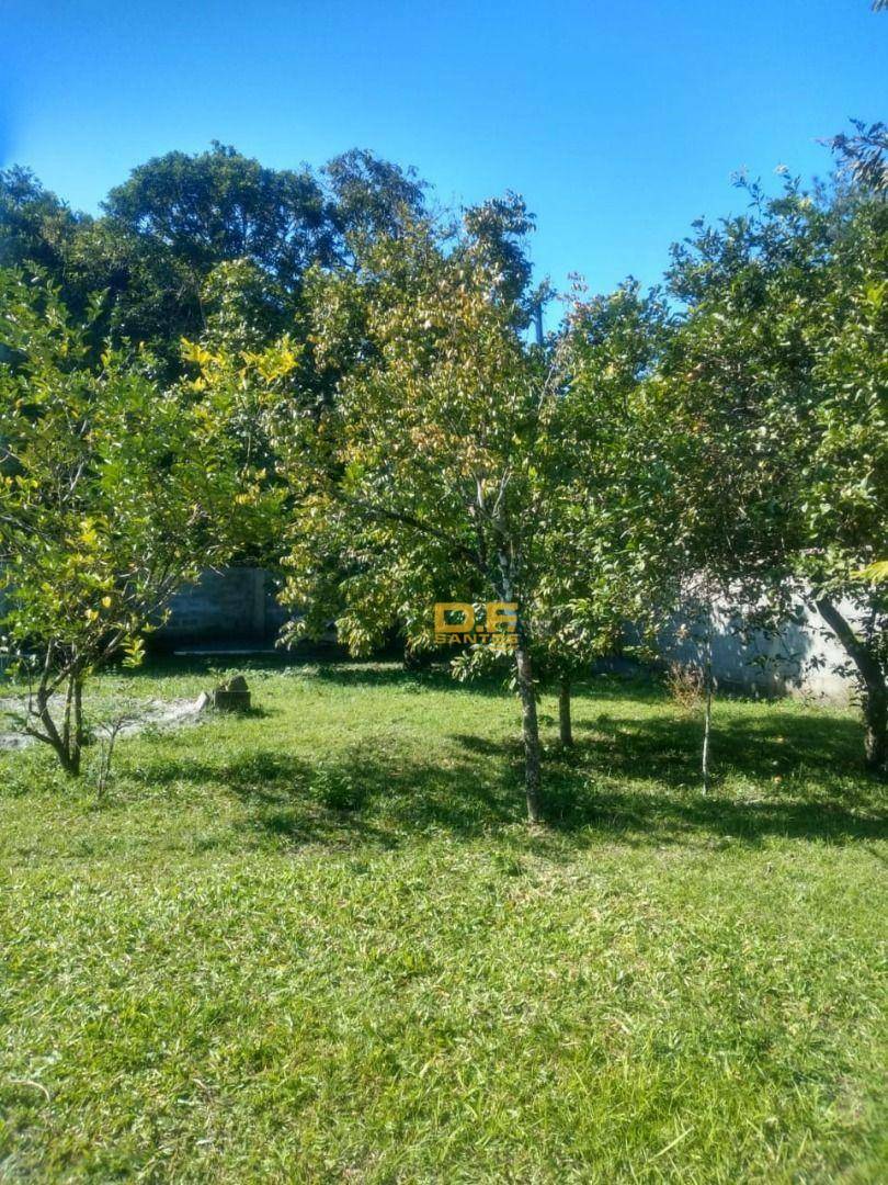 Chácara, 2 quartos, 3812 hectares - Foto 11