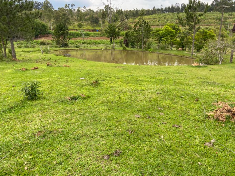 Fazenda à venda, 48400m² - Foto 1