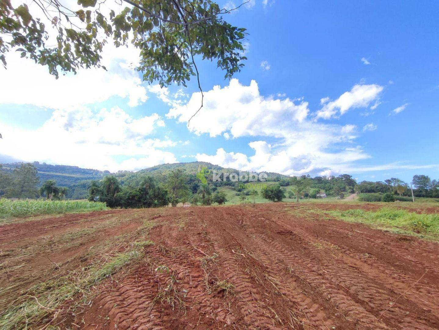 Terreno à venda, 17000M2 - Foto 4