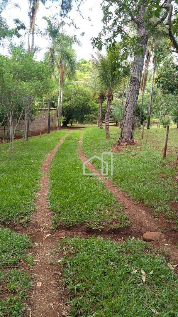 Fazenda à venda com 3 quartos, 250000M2 - Foto 18